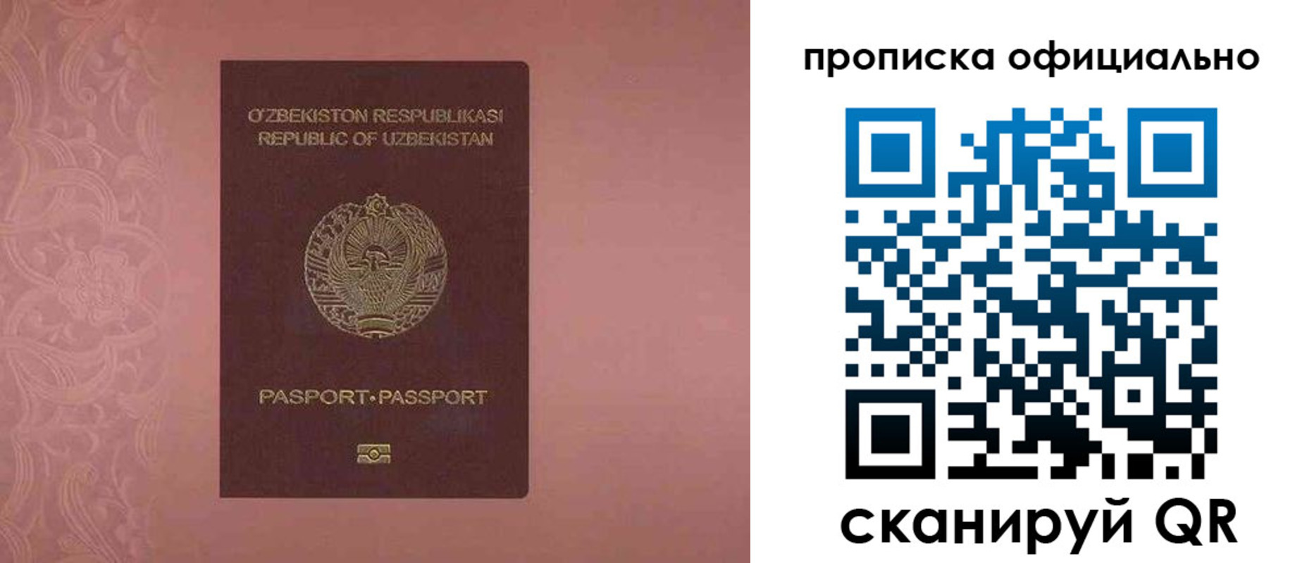 прописка гарантия в Волосово